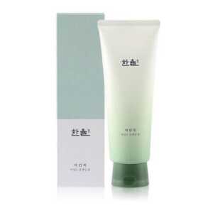 Hanyul Pure Artemisia Mild Cleansing Foam