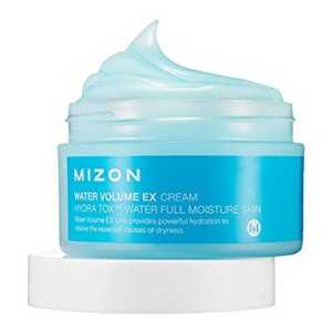 Mizon Water Volume Ex Cream